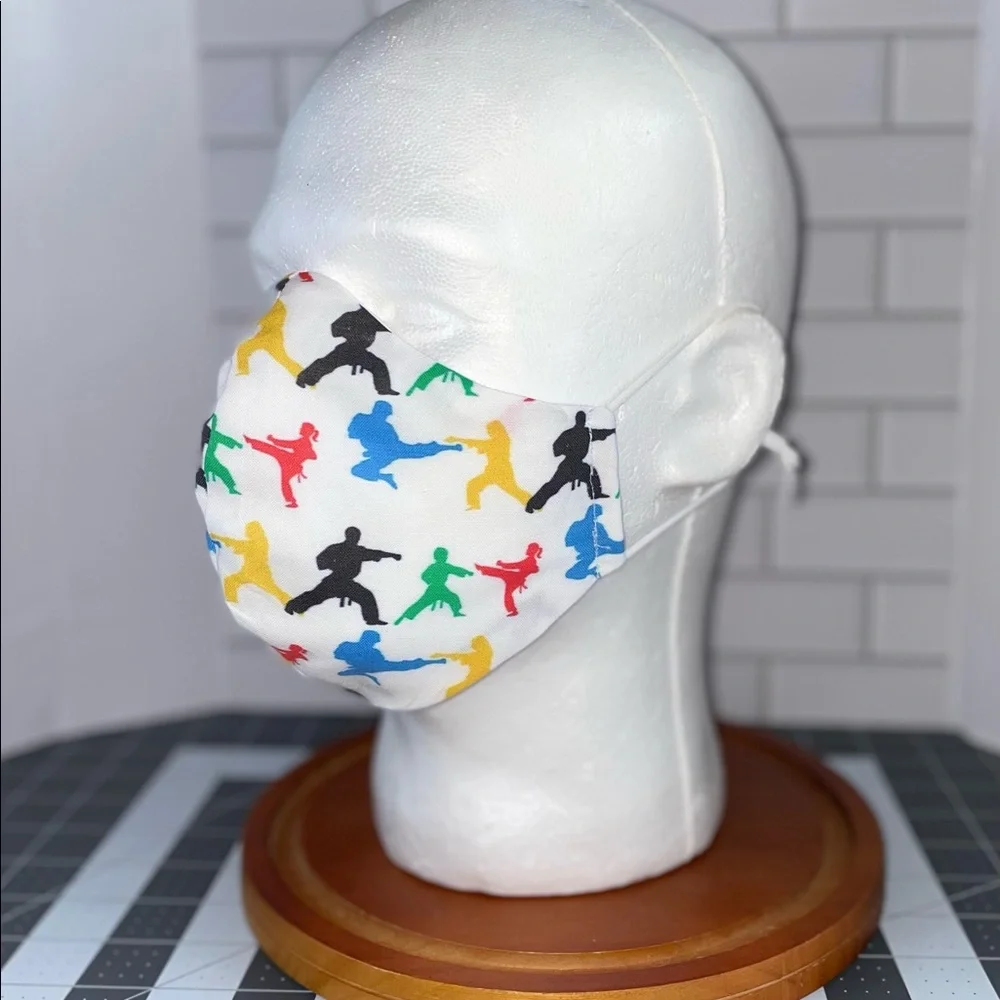 Martial arts facemask taekwondo
